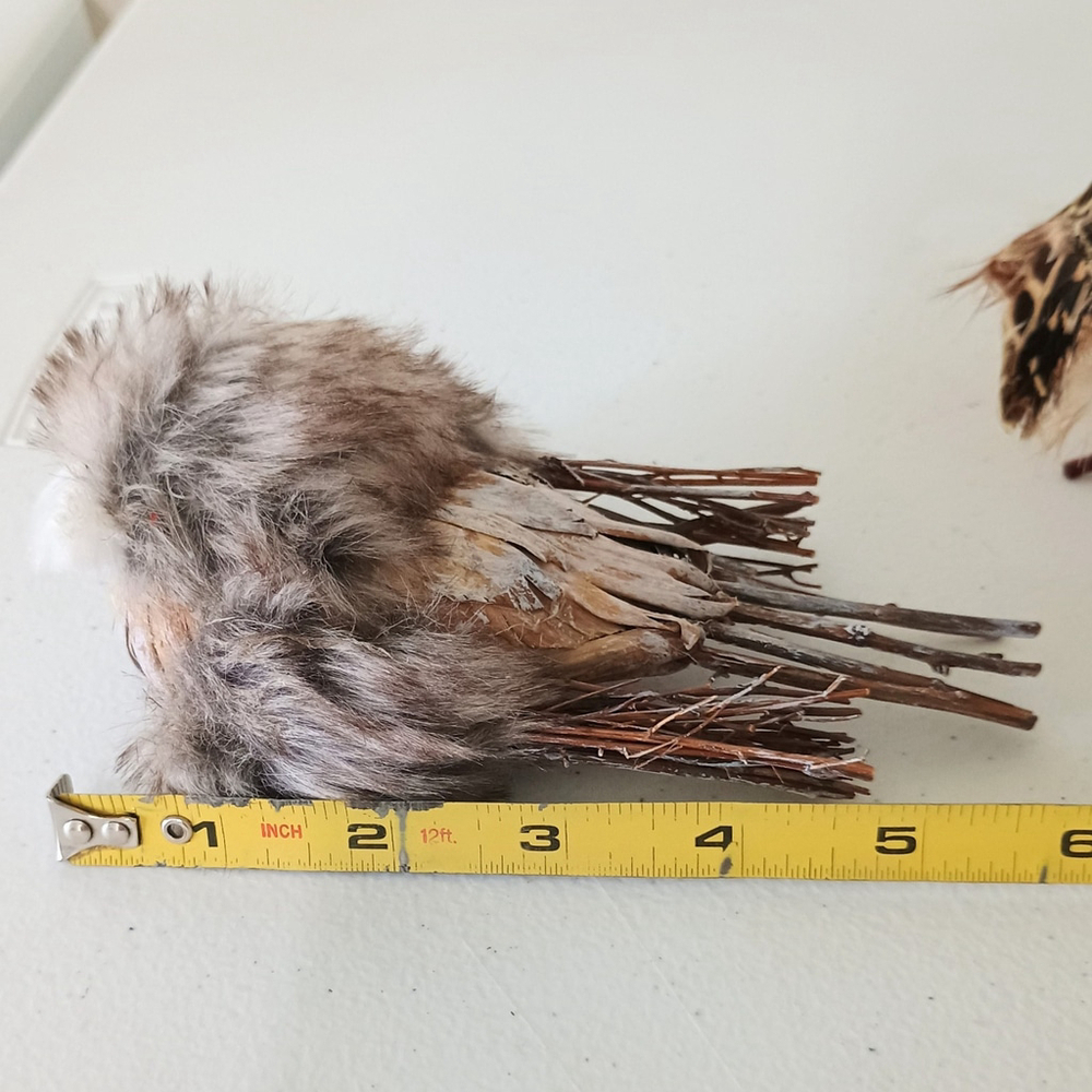 Pair Of Life Like Detailed Feathered Furry Owl Figurines Rustic Fall Decor - Picture 11 of 11